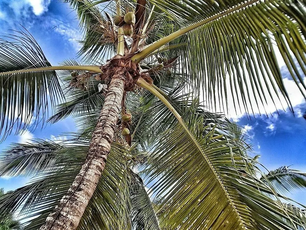 Hotel Caserma La Romana-Bayahibe